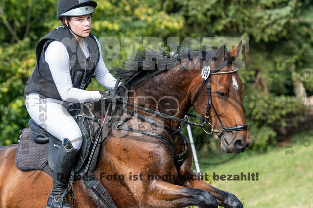 Late-Entry-Vielseitigkeit Langenfeld (11.+13./14.06.2020)