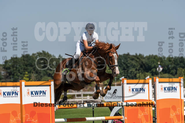 Kronenberg - De Peelbergen (August 2020)