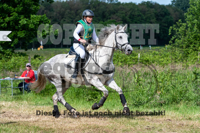 Westerstede Horse Trials (10.-13.06.2021)