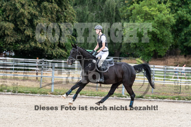 Late-Entry-Vielseitigkeit Langenfeld (11.+13./14.06.2020)