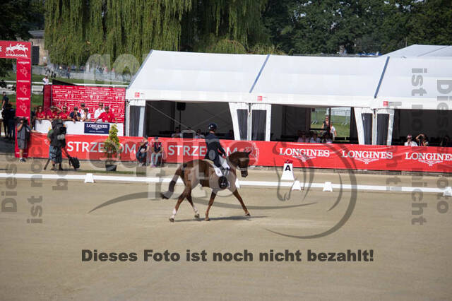 FEI European Championship Eventing 2017