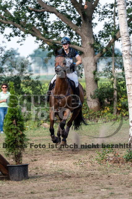 De Peelbergen (August 2020)