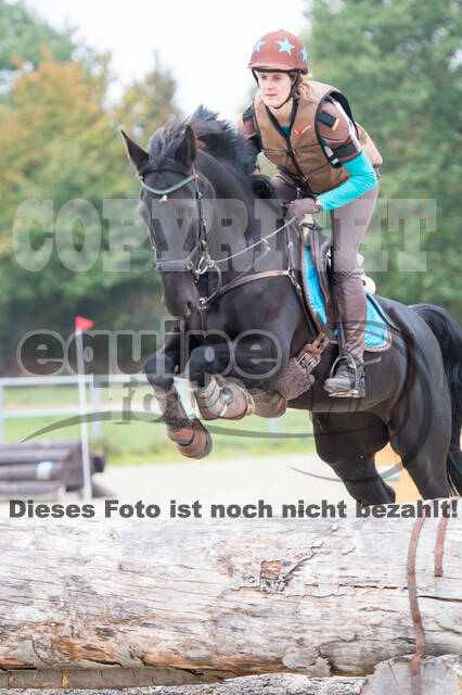 Training Tholi Tour