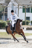 Eventing Langenfeld 2018