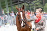FEI European Championship Eventing 2019