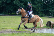 Goldene Schärpe 2021 - Ponys