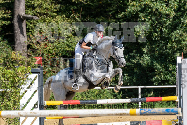 RFV Dinslaken-Hiesfeld (Herbstturnier)