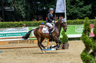 Goldene Schärpe 2021 - Ponys