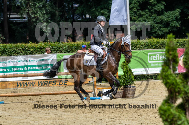 Goldene Schärpe 2021 - Ponys