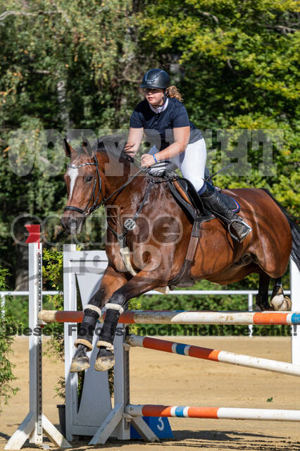 RFV Dinslaken-Hiesfeld (Herbstturnier)