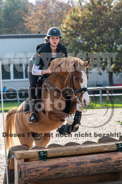 IGV Lehrgang der Sieger der Cups mit Frank Ostholt