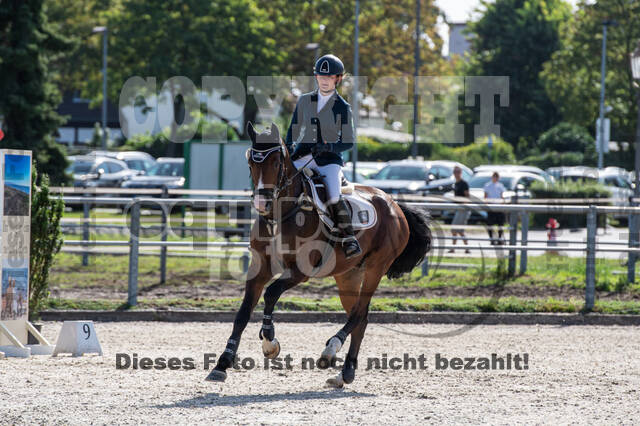 Landesturnier Rheinland, Vielseitigkeit, 22.+23.08.2020