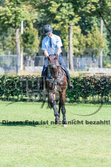 Kronenberg - De Peelbergen (August 2020)