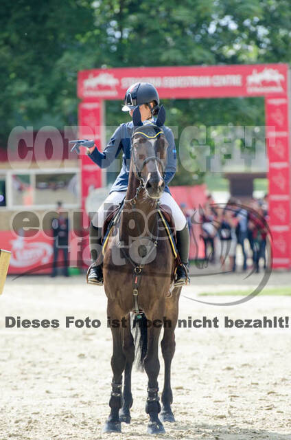 FEI European Championship