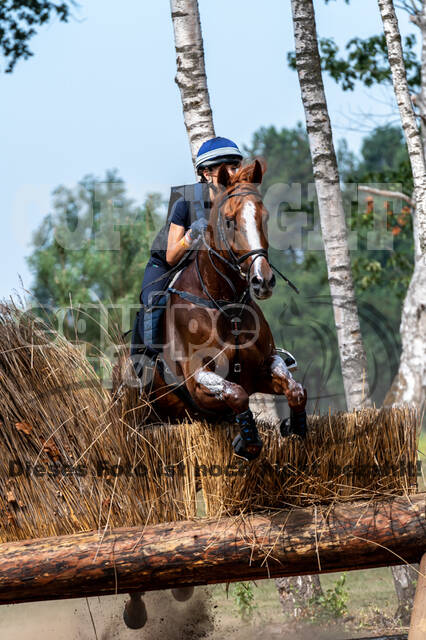 De Peelbergen (August 2020)