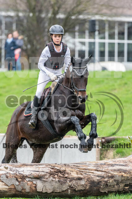 Goldene Schärpe 2020 - Pferde