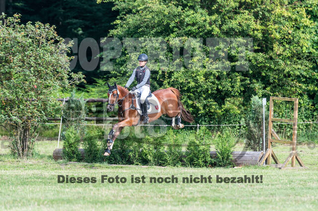 Goldene Schärpe 2021 - Ponys