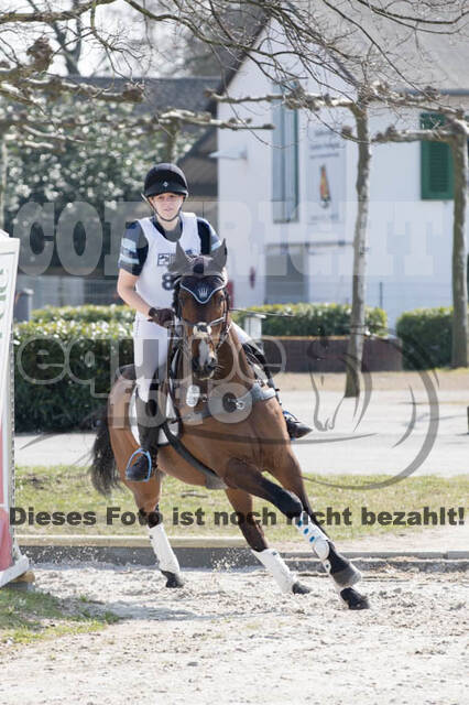 Eventing Langenfeld 2018