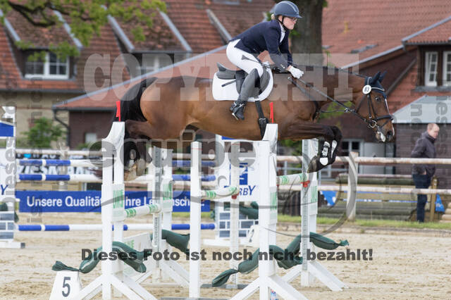 Sterne über Münster 2019 - CCI***S