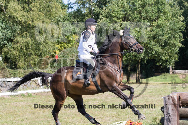 Vielseitigkeitsturnier RSV St. Hubertus Wesel Obrighoven