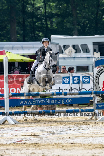 Goldene Schärpe 2021 - Ponys