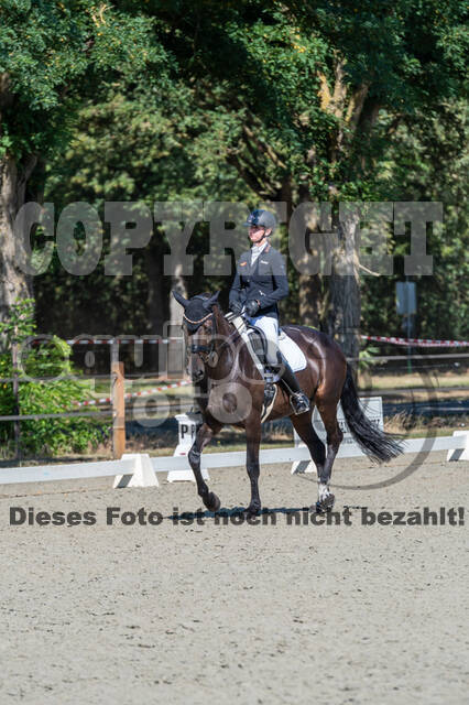 Kronenberg - De Peelbergen (August 2020)