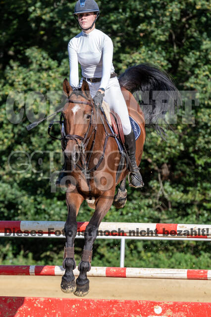 RFV Dinslaken-Hiesfeld (Herbstturnier)