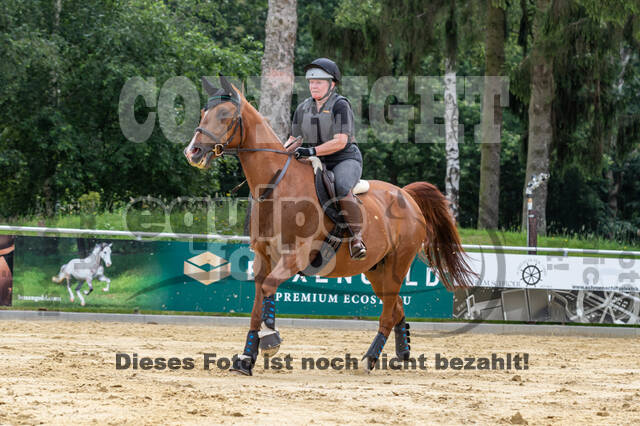 Hunter Geländetraining 10.07.2021 (Sonsbeck)
