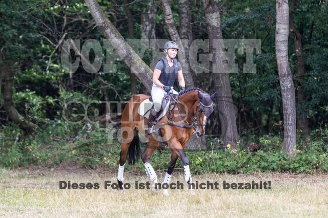 Late-Entry Vielseitigkeit Hamminkeln/Wesel (01.+02.08.2020)