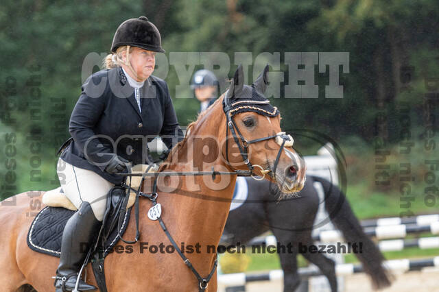 Vielseitigkeit RSV Wesel Obrighoven (26.+27.09.2020)