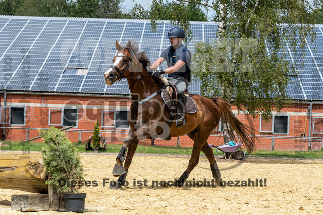 Hunter Geländetraining 10.07.2021 (Sonsbeck)