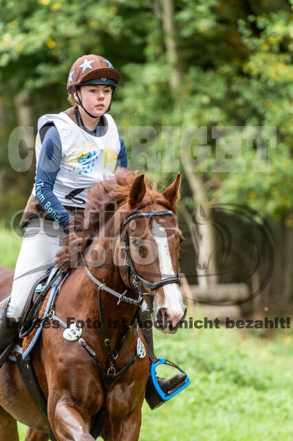 Vielseitigkeit RSV Wesel Obrighoven (26.+27.09.2020)