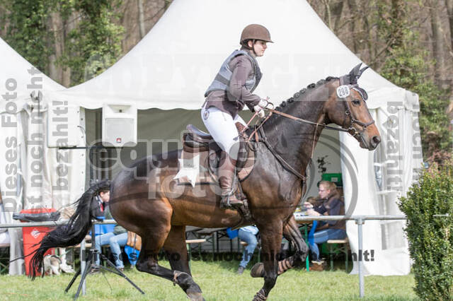 Frühjahrsvielseitigkeit RV Seydlitz Kamp