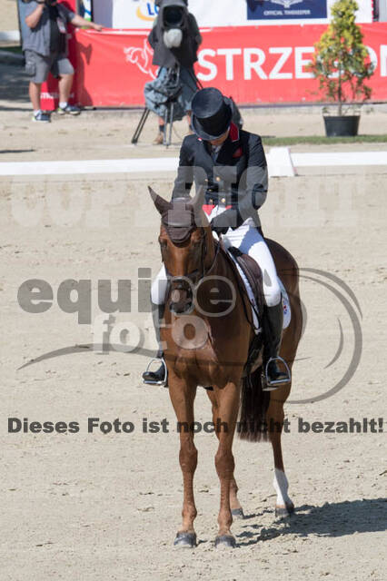 FEI European Championship Eventing 2017