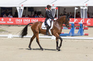 FEI European Championship Eventing 2017