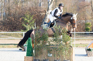 Eventing Langenfeld 2018