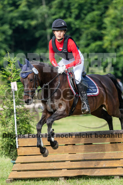 Goldene Schärpe 2021 - Ponys