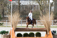 Eventing Langenfeld 2018