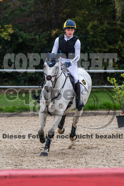 Goldene Schärpe 2020 - Pferde