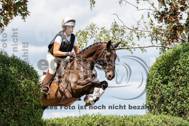 Bonn-Rodderberg Late-Entry-Vielseitigkeit (30.06.2020)
