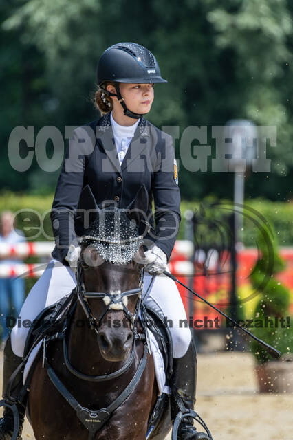 Goldene Schärpe 2021 - Ponys