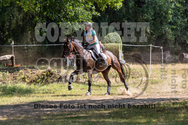 Late-Entry Vielseitigkeit Hamminkeln/Wesel (01.+02.08.2020)