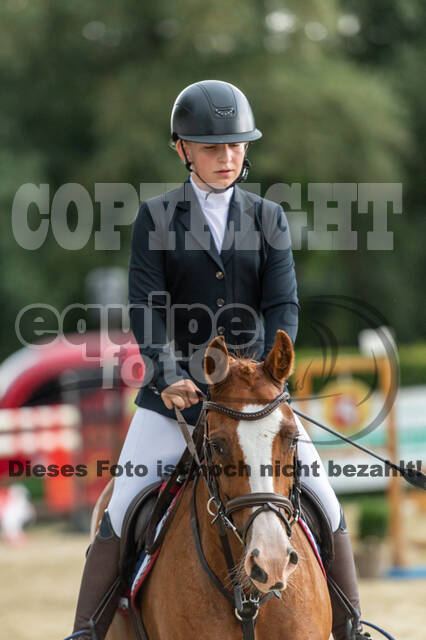 Goldene Schärpe 2021 - Ponys