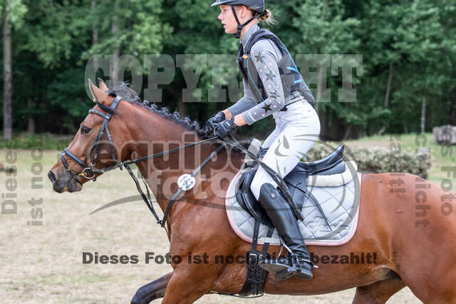 Late-Entry Vielseitigkeit Hamminkeln/Wesel (01.+02.08.2020)