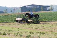IGV Kleve