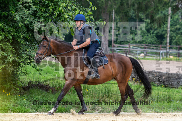 Hunter Geländetraining 10.07.2021 (Sonsbeck)