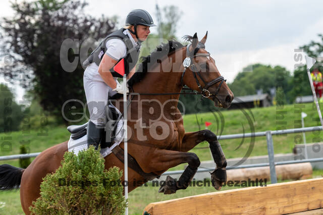 Late-Entry-Vielseitigkeit Langenfeld (06.+07.07.2020)