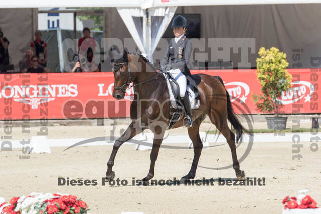 FEI European Championship Eventing 2017
