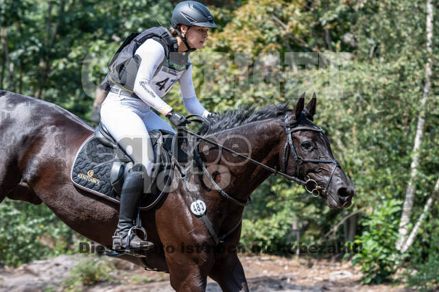 De Peelbergen (August 2020)