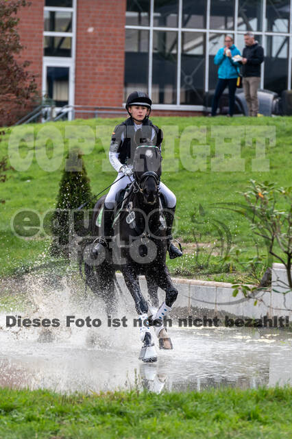 Goldene Schärpe 2020 - Pferde